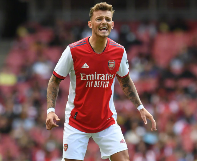 问鼎- 阿森纳名将 